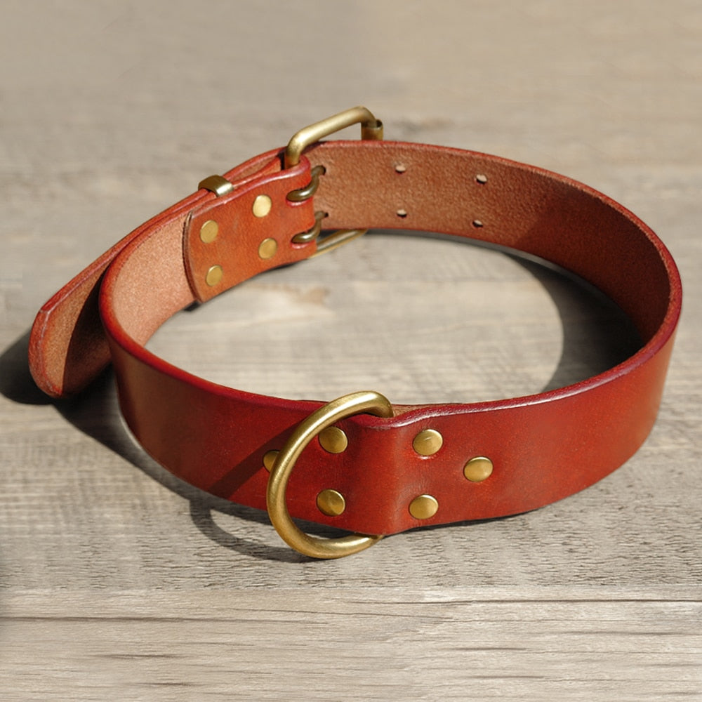 Durable Leather Dog Collar and Leash