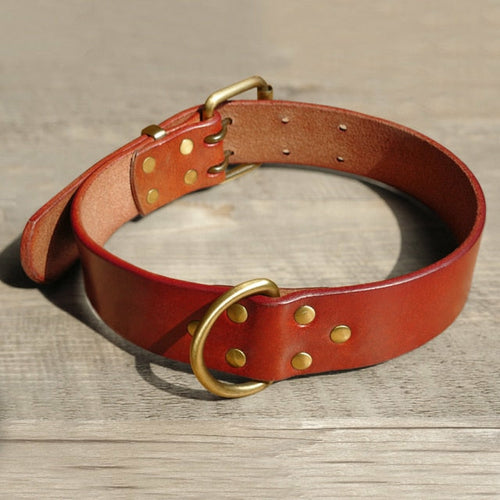 Durable Leather Dog Collar and Leash