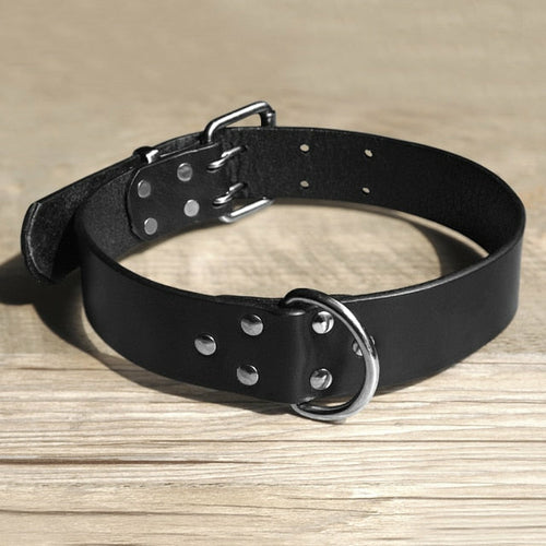 Durable Leather Dog Collar and Leash