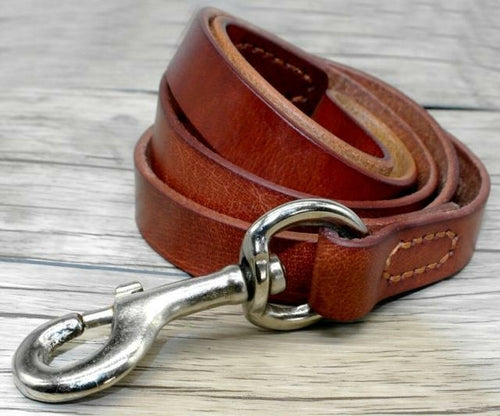Durable Leather Dog Collar and Leash