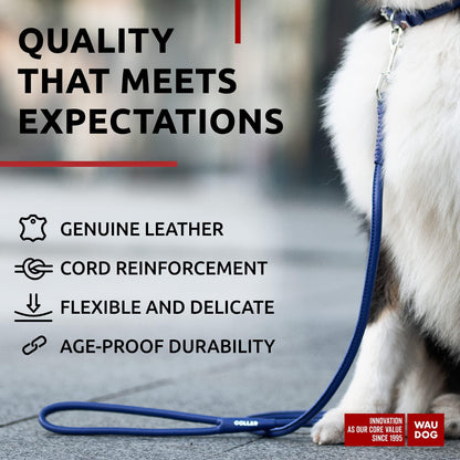 Rolled Leather Dog Leash 6Ft * 0.5in