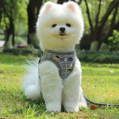 Reflective Nighttime Dog Leash With Stylish Design