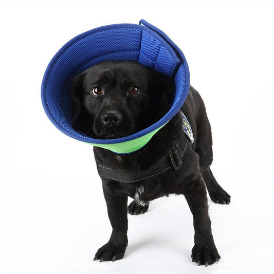 Pet Recovery Shield: Transparent Anti-Bite Collar For Dogs And Cats