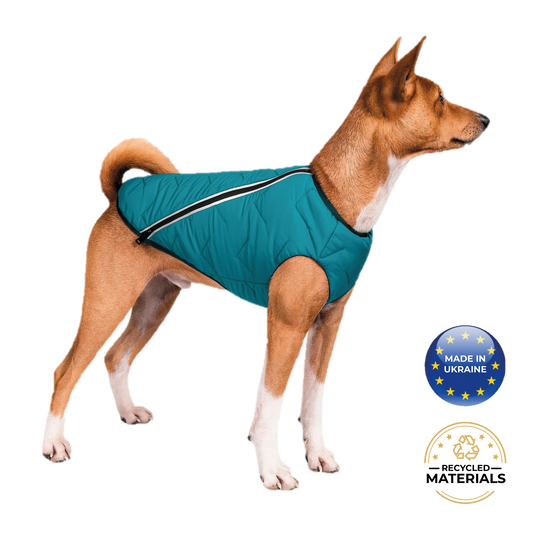 Sustainable Eco-Friendly Dog Jacket / Vest