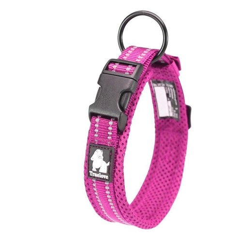 Reflective Mesh Dog Collar with Stainless Steel Buckle