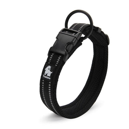Reflective Mesh Dog Collar with Stainless Steel Buckle