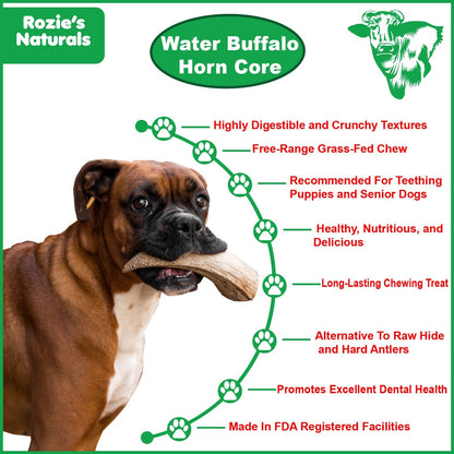 Water Buffalo Horn Core Dog Chews – 2 Count (10 oz) | Natural Long-Lasting Dental Treats