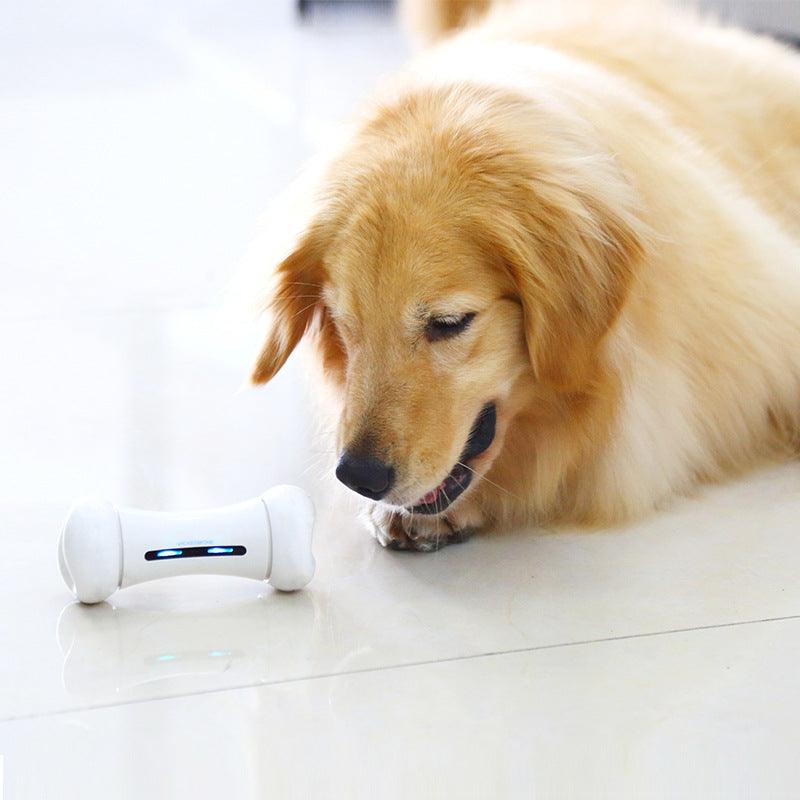 Introducing The Smart Chew Buddy