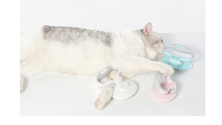 Furcare Pro: Self-Cleaning Wire Brush