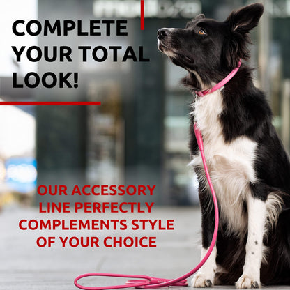 Rolled Leather Dog Leash 4Ft * 0.4in