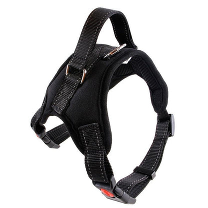 Premium Nylon Dog Collar Set
