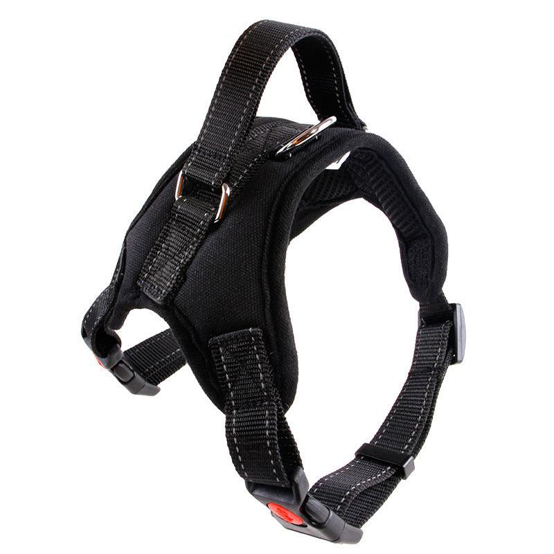 Premium Nylon Dog Collar Set