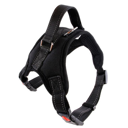 Premium Nylon Dog Collar Set