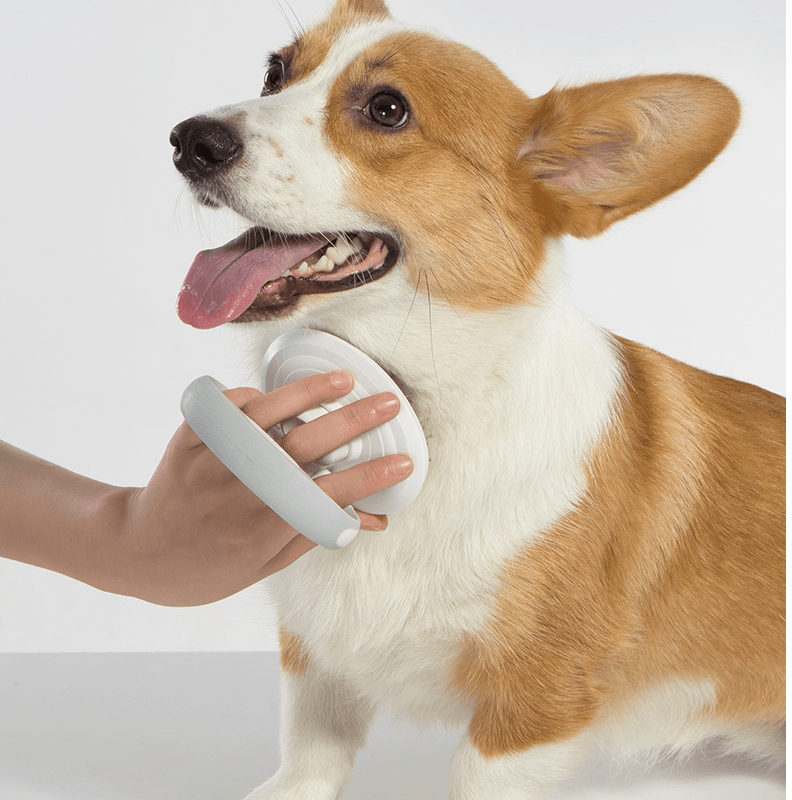 Furcare Pro: Self-Cleaning Wire Brush