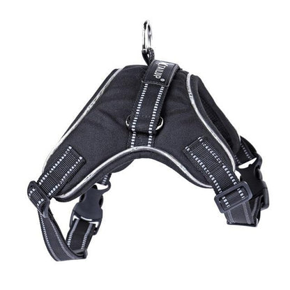 Luminous Canine Collar