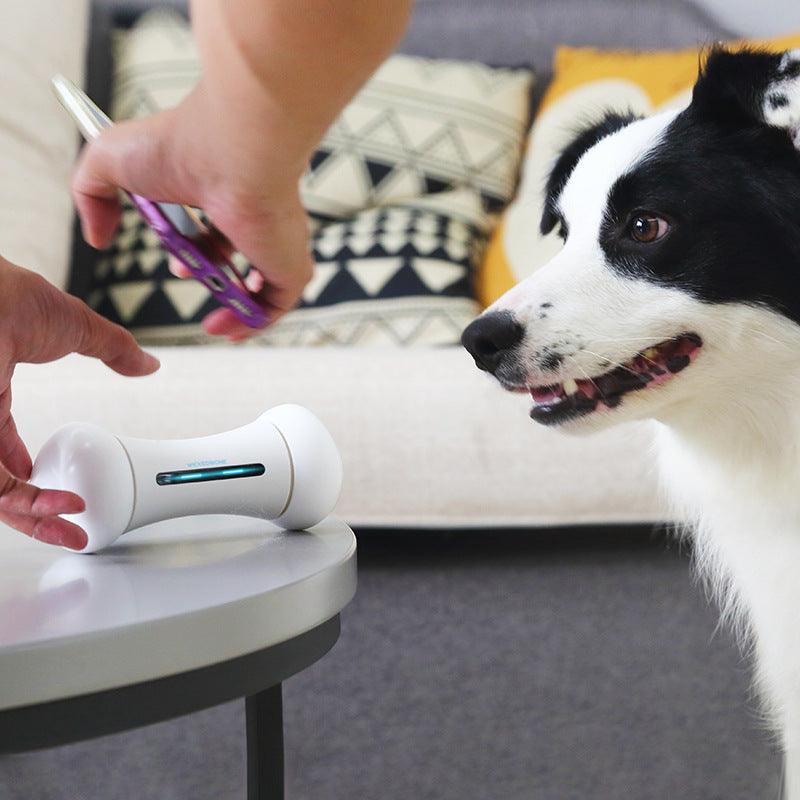 Introducing The Smart Chew Buddy