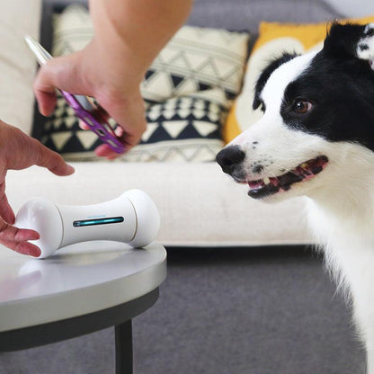 Introducing The Smart Chew Buddy