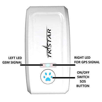 Pettrack Gps: The Ultimate Pet Locator Device
