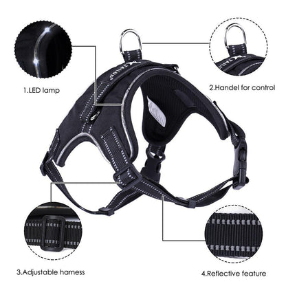 Luminous Canine Collar