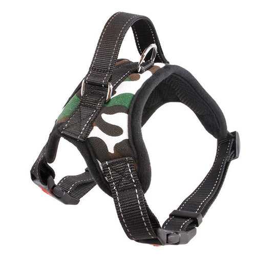 Premium Nylon Dog Collar Set