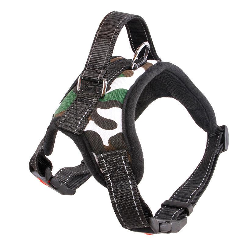 Premium Nylon Dog Collar Set