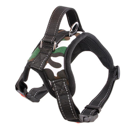 Premium Nylon Dog Collar Set
