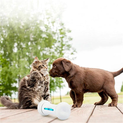 Introducing The Smart Chew Buddy