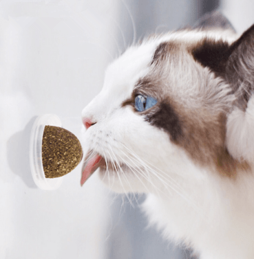 Minty Fun Catnip Ball Toy Set