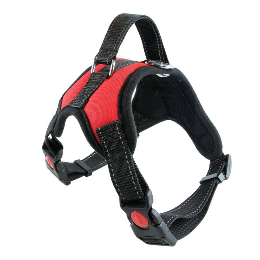 Premium Nylon Dog Collar Set