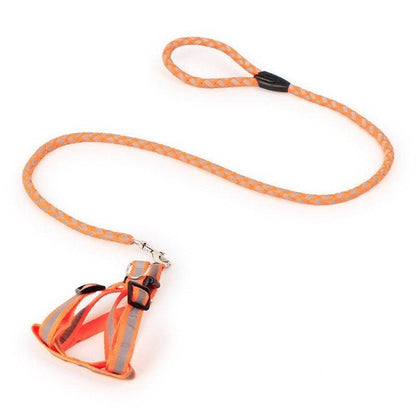 Night Glow Braided Traction Leash With Reflective Chest Strap