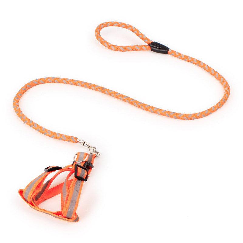 Night Glow Braided Traction Leash With Reflective Chest Strap