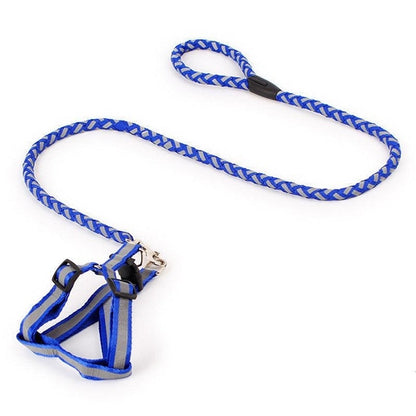 Night Glow Braided Traction Leash With Reflective Chest Strap