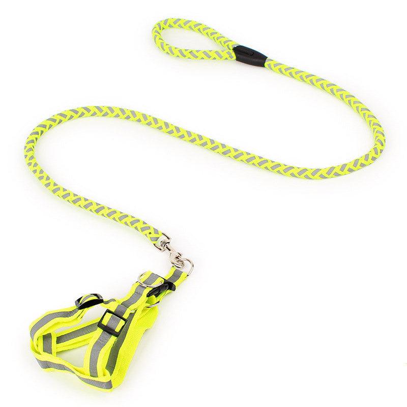 Night Glow Braided Traction Leash With Reflective Chest Strap