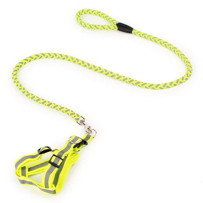 Night Glow Braided Traction Leash With Reflective Chest Strap
