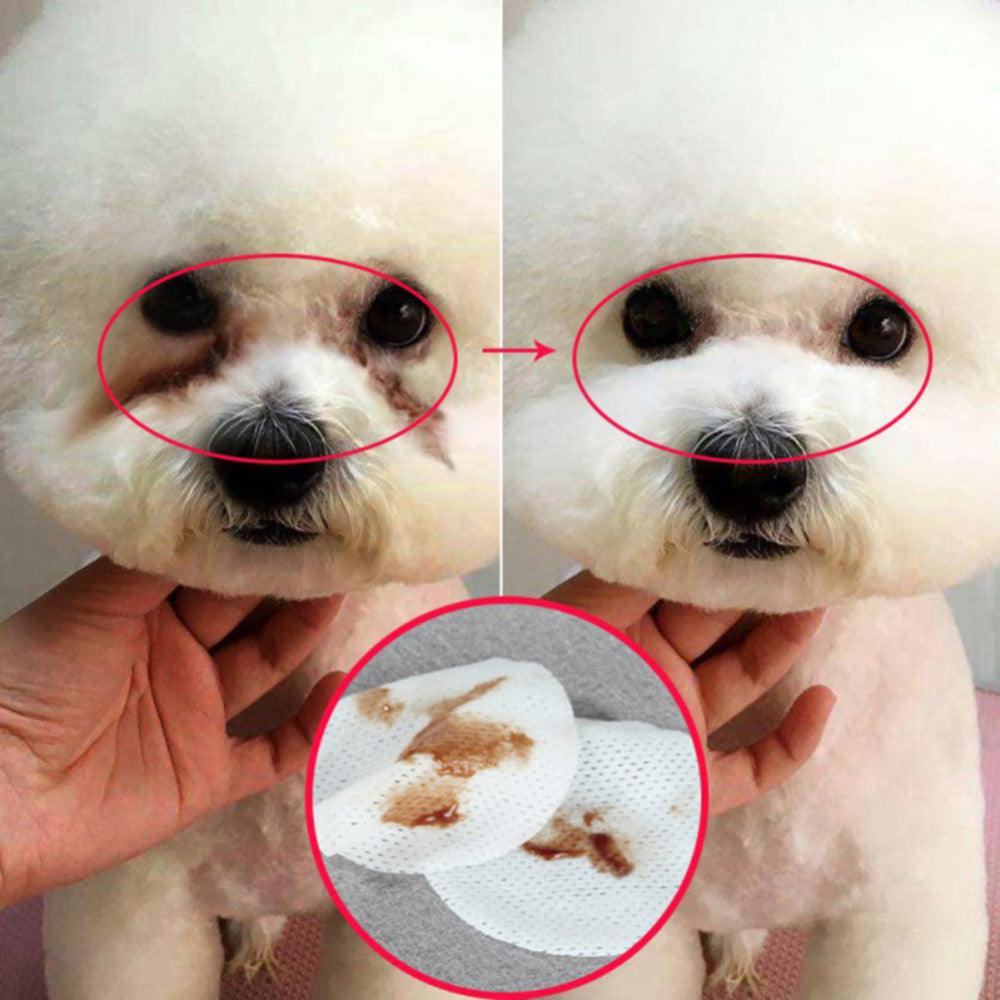 Radiantpaws Tear Stain Eliminator: Pet Eye Grooming Wipes