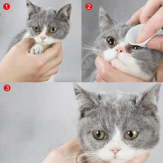 Radiantpaws Tear Stain Eliminator: Pet Eye Grooming Wipes