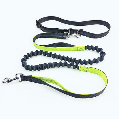 Freedom Dog Leash: The Perfect Companion For Active Dogs