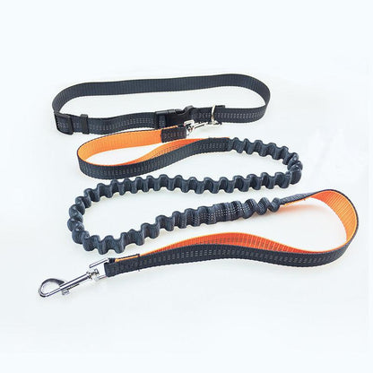 Freedom Dog Leash: The Perfect Companion For Active Dogs