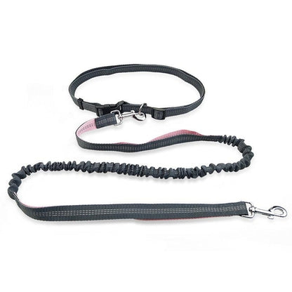 Freedom Dog Leash: The Perfect Companion For Active Dogs