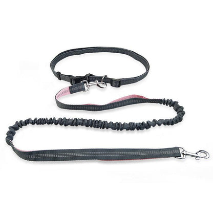 Freedom Dog Leash: The Perfect Companion For Active Dogs