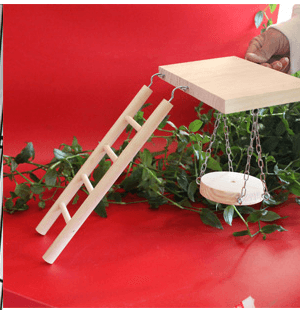 Wooden Jungle Gym Interactive Bird Toy