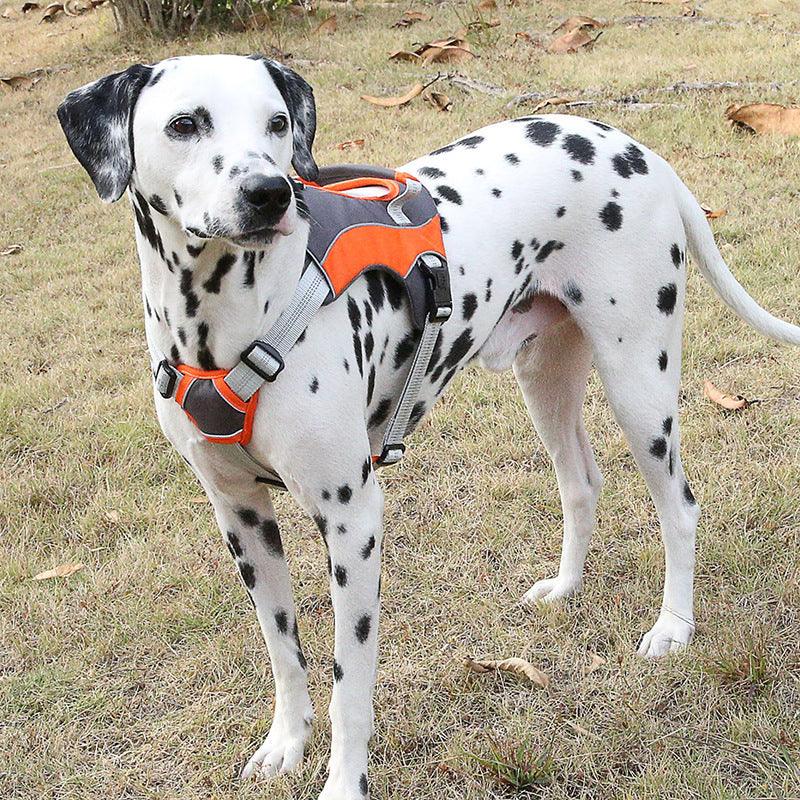 Reflective Chest Strap Dog Leash Set With Towing Rope