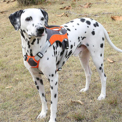 Reflective Chest Strap Dog Leash Set With Towing Rope