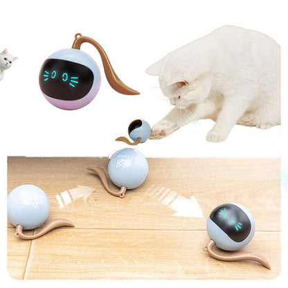 Smartpaws Colorful Led Rotating Interactive Cat Toy