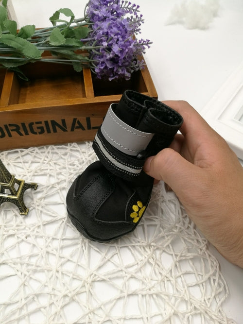 Dog shoes