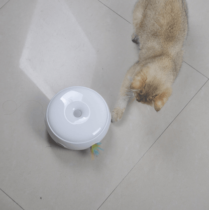 Smartpaw Electric Donut Cat Turntable