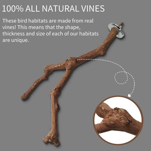 Natural Grape Wood Bird Perching Stick