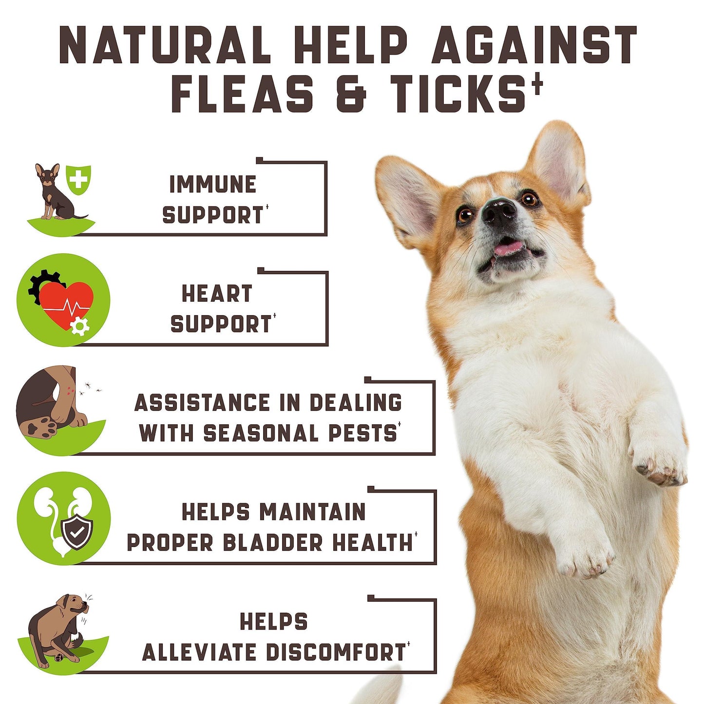 Flea and Tick Prevention Chewable for Dogs - No Collars Needed