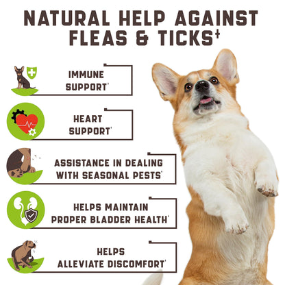 Flea and Tick Prevention Chewable for Dogs - No Collars Needed