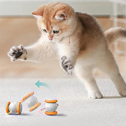 Interactive Cat Teaser Toy
